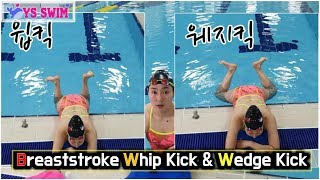 수영 평영 윕킥 \u0026 웨지킥 : Breaststroke Whip Kick \u0026 Wedge Kick