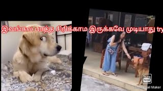 2023 இன் மிகச்சிறந்த காமெடி animals#trending#viral