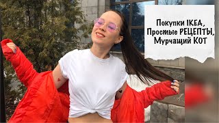 🌿ВЛОГ 7: мои покупки в ИКЕА, готовим с Котом вкусняшки