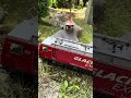 #gardenrailway #train #gartenbahn #railway #lgb #railroad #spurg #modeltrains #modellbahn #piko