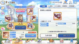 【プリコネR】5段階目 トライロッカー 魔法セミオート4,200万