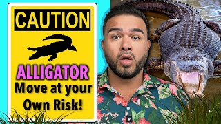 Is Living in Florida Safe? Gator Attacks!