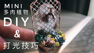 Mini Plant 1 ［袖珍多肉植物\u0026打光技巧］BenQ筆電智能掛燈 miniature DIY/doll house 【狂想手創】309