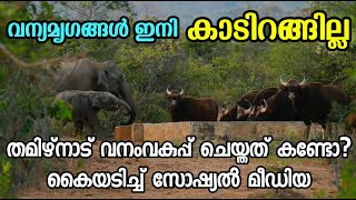 തമിഴ്‌നാട് ചെയ്തത് കണ്ടോ? വന്യ മൃഗങ്ങൾ ഇനി കാടിറങ്ങില്ല #wildlife #wildanimals #elephantattack