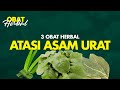 Basmi Asam Urat dengan 3 Obat Herbal Ini - Obat Alami | Hidup Sehat tvOne