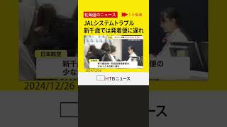 日本航空がサイバー攻撃受けシステムトラブル　新千歳空港の発着便にも影響　午後２時ごろに復旧