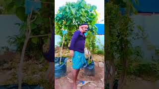 Mu Chashi Ghara Toka #ytshorts #ytshort #yshorts #yshort #viralshorts #instagram #odiashorts