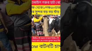 ১০০/১১০/১৫০হাজারে সুন্দর সুন্দর বড় বড় ষাঁড় গরু কিনুন। #cow#খামার#cowmarket2025#cowprice#bdgorurhaat