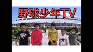 第一回　ぐるぐるバッドすもう　野球少年TV