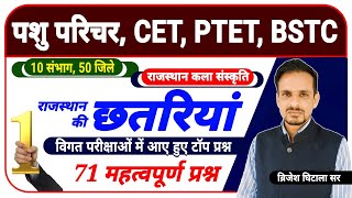 10 संभाग 50 जिले । छतरियां । राजस्थान छतरियां के महत्वपूर्ण प्रश्न । rajasthan kala sanskriti
