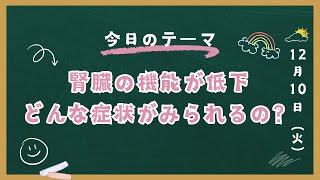 【症状】腎臓機能低下の症状は何がある？｜キャンベル動物病院 #動物病院 #犬 #猫 #腎臓 #症状