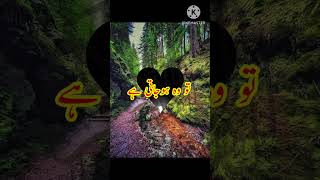 Quran Ayat Short video | Quran ayat status in Urdu | Quran Ayah short hindi #zaintms
