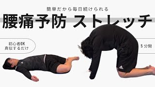 プロが教える自宅でできる腰痛予防のための5つのストレッチ【真似するだけでOK】#119