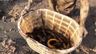 Others can only catch 2 out of 20 holes, but he caught a basket full!