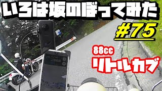 【週刊リトルカブ】88ccのリトルカブでいろは坂を上ってみた