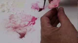 Dusting Your Gumpaste Cherry Blossom (Part 2/2)