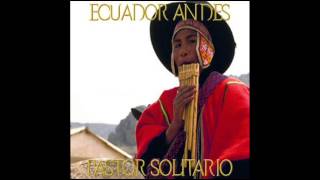 Ecuador Andes   pastor solitario