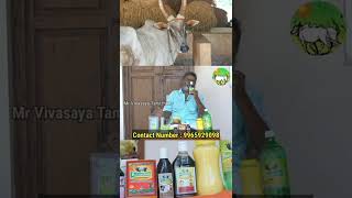 என்னது நாட்டு மாடு கோமயத்தில் Shampoo தயாரிப்பு #nattumadu #nattumaduvalarpu #kosalai