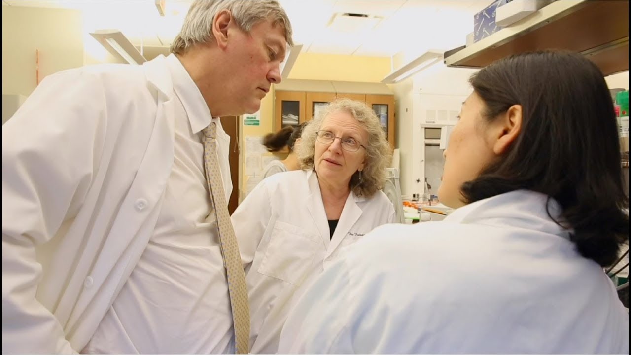 Institute Of Molecular Medicine Feinstein Institutes For Medical Research