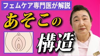 99%女性が知らない！？女性器の構造について女医が解説