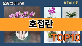 가장 많이 팔린 호접란 추천 Top10!