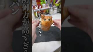 妻が作った防御力が高すぎる『猫ミームパン』の再現度が高すぎる！！！#shorts