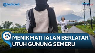 Liburan Murah Berkesan, Serunya Menikmati Jalan Pronojiwo Berlatar Utuh Semeru