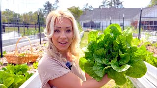 Our Huge Raised Bed Garden in South Carolina! The First Garden Tour of 2024