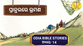 (ଆଦି ପୁସ୍ତକ ରୁ ପ୍ରକାଶିତ ପୁସ୍ତକ) Ep14- ପ୍ରାନ୍ତରରେ ଭ୍ରମଣ | Christian Bible Stories Odia || Bible Story