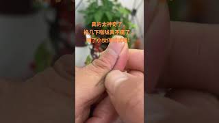 養生大講堂 # 健康小妙招#手部穴位按摩，現在陽了嗓子疼的小夥伴們趕緊試試吧！# 學會快去試試吧健康知識分享@DUO十小助手（1） #shorts