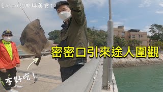 香港釣魚︱再入坪洲釣魚 這次密密口引來途人圍觀 這次太好玩了！『坪洲釣魚記 第二集』