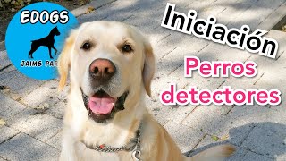 ENSEÑA A TU PERRO A ENCONTRAR COSAS - EJERCICIOS DE OLFATO - INICIACIÓN PERROS DETECTORES DE DROGAS