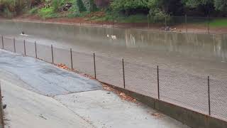 Watch This! Los Angeles Floods Again... L.A. Storms Jan. 31st 2019