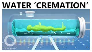 Aquamation (Water Cremation): The Eco-Friendly Burial Chosen by Desmond Tutu