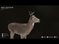 Tutorial On Everything Heard Management!  Way of the Hunter