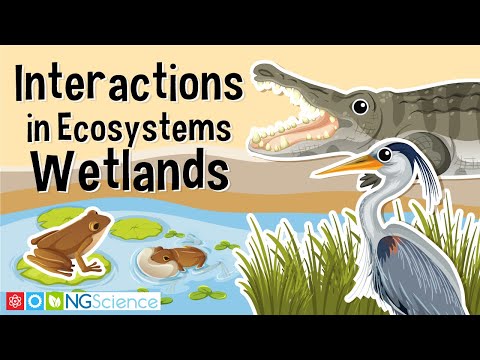How are wetlands and deserts similar?