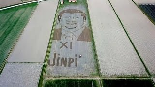 Italy: Land artist ploughs giant portrait of Xi Jinping with tractor