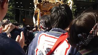 令和元年　神田明神　神田祭　神田同朋町会　神輿渡御  2019.5.11　Kanda Matsuri Mikoshi