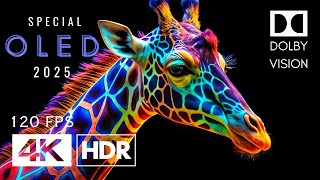 4K SPECIAL OLED Dolby Vision HDR 120 FPS