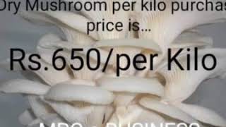 Mushroom Cultivation in Bankura WB Mob 7365866342