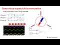 trapezoidal commutation