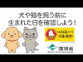 ＳＴＯＰ！生後56日までの犬猫販売～ペットショップ編～