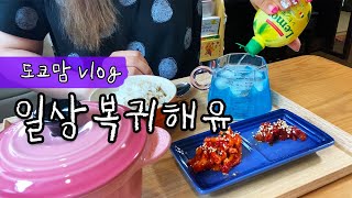 일본 일상 브이로그 | 도쿄사는 한일가족 소소한 일상 기록 ★ 집밥 비지찌개 목살구이 떡볶이 | 아라마짱 영어유치원 졸업식