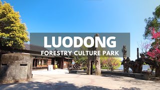 Luodong Forestry Culture Park | 羅東林場 羅東林業文化園區 | 台灣 宜蘭 羅東| Landscape Timelapse | 台灣 4K 旅遊 縮時 影片