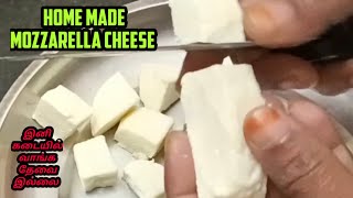 Home made mozzarella cheese/How to make mazzarell cheese/வீட்டிலேயே இனி ஈசியா cheese ரெடி பண்ணலாம்