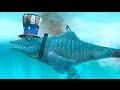 Hungry Shark Evolution - Mr Snappy