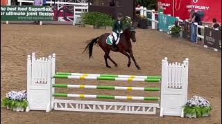 Milchem Ardeo - Show Jumping - European Championships 2022