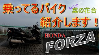 【モトブログ】乗ってるバイク紹介します！ HONDA　FORZA Z　MF10　～菜の花台展望台～