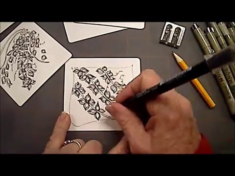 Sprigs Tangle Pattern Lesson 18 Youtube