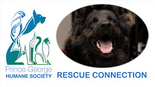 PGHS Rescue Connection - September 12, 2024